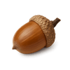 arcorn