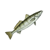 bass