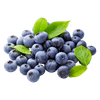 blueberry
