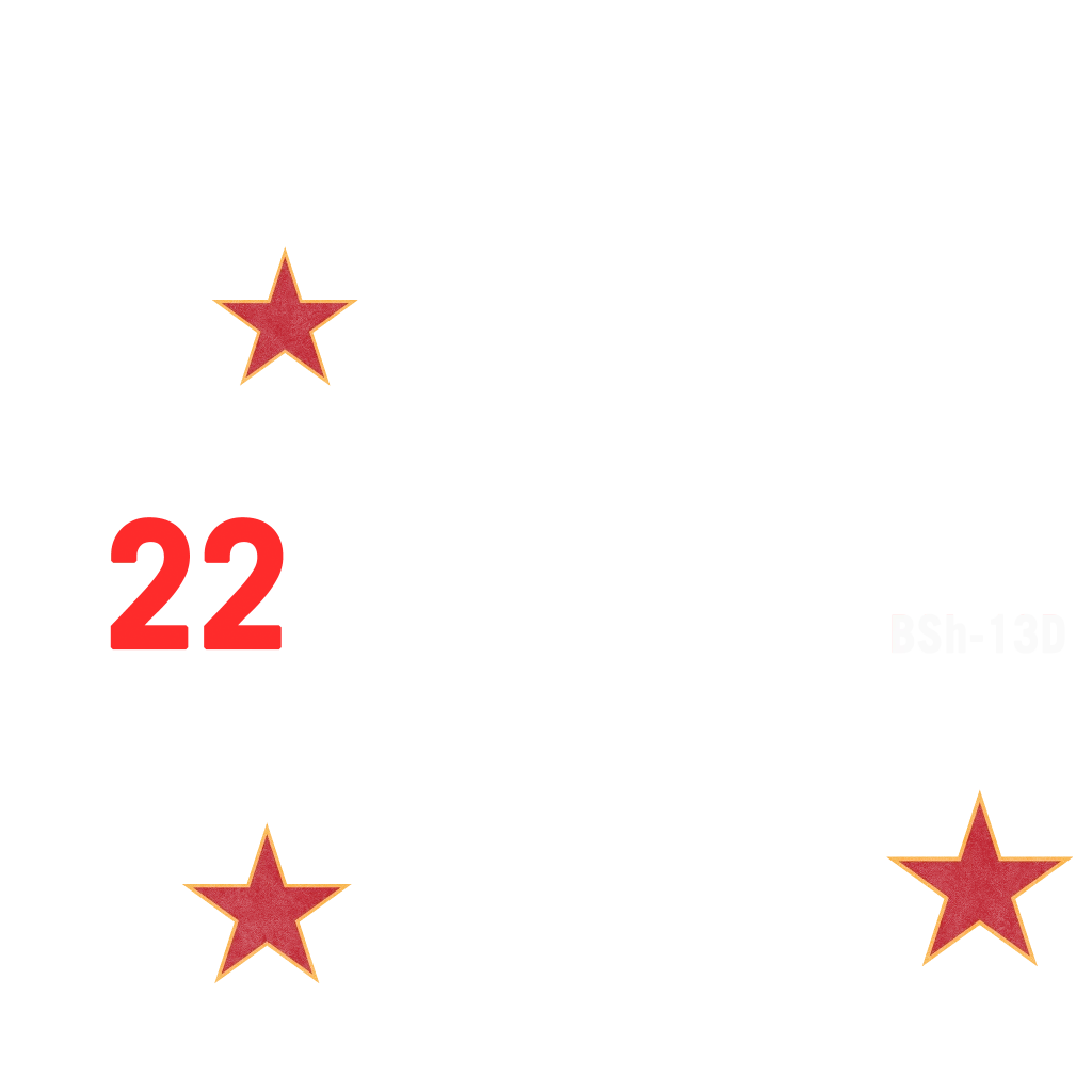 RM-10 Bombushka livery 4 template