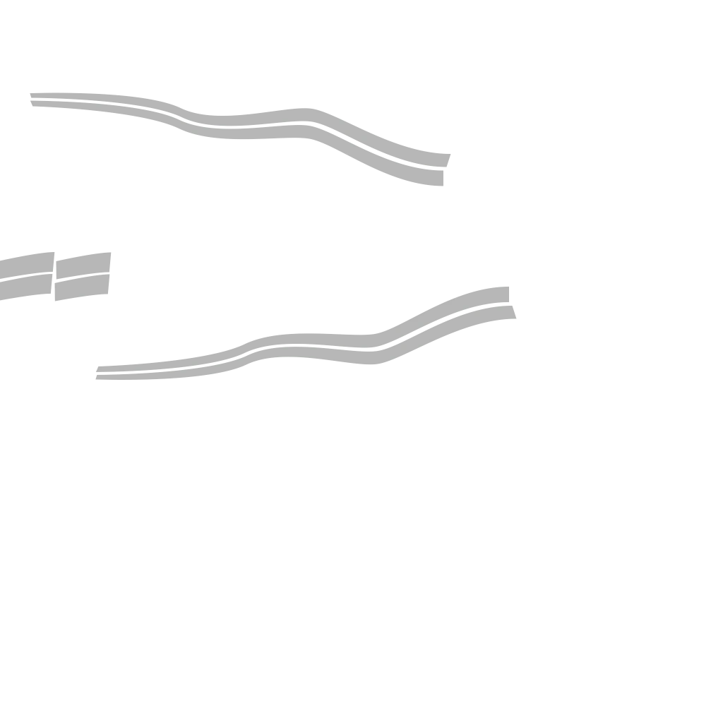 Buckingham Conada livery 4 template