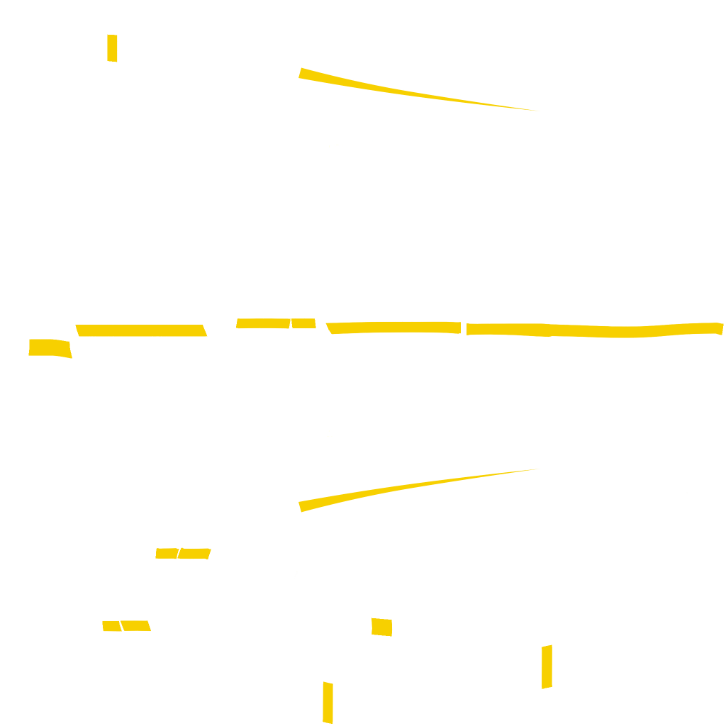 Overflod Entity MT livery 5 template