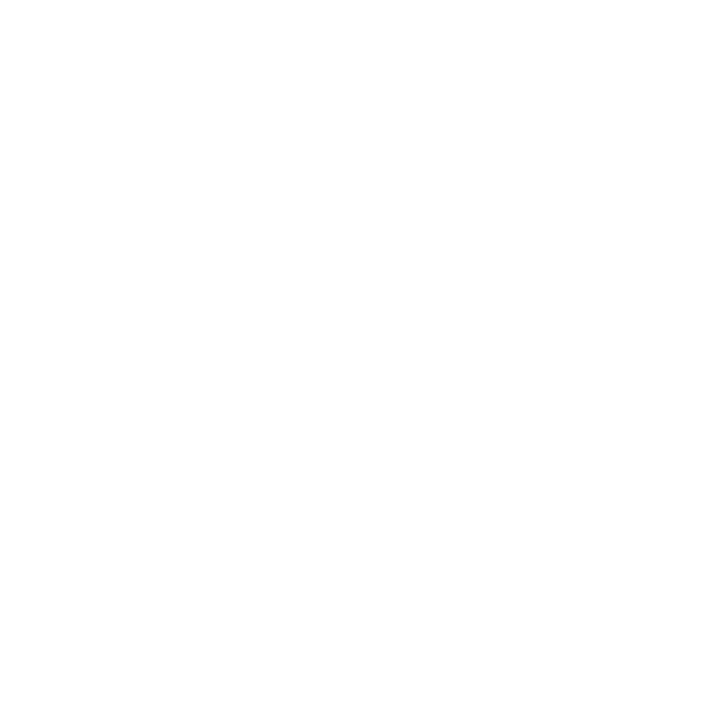 Karin Everon livery 2 template