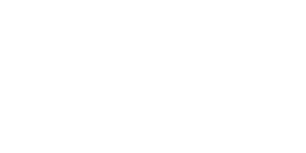 Buckingham Howard NX-25 livery 6 template