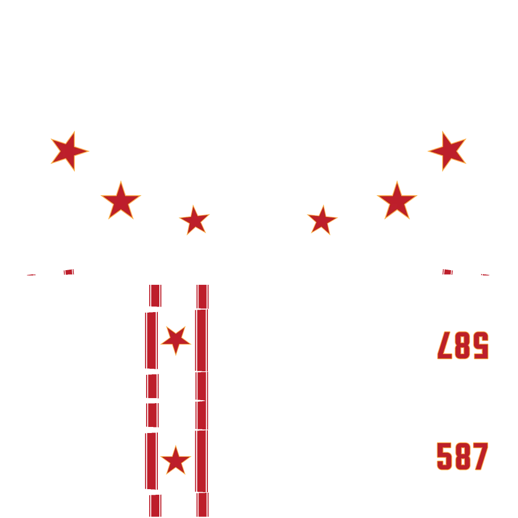 V-65 Molotok livery 2 template