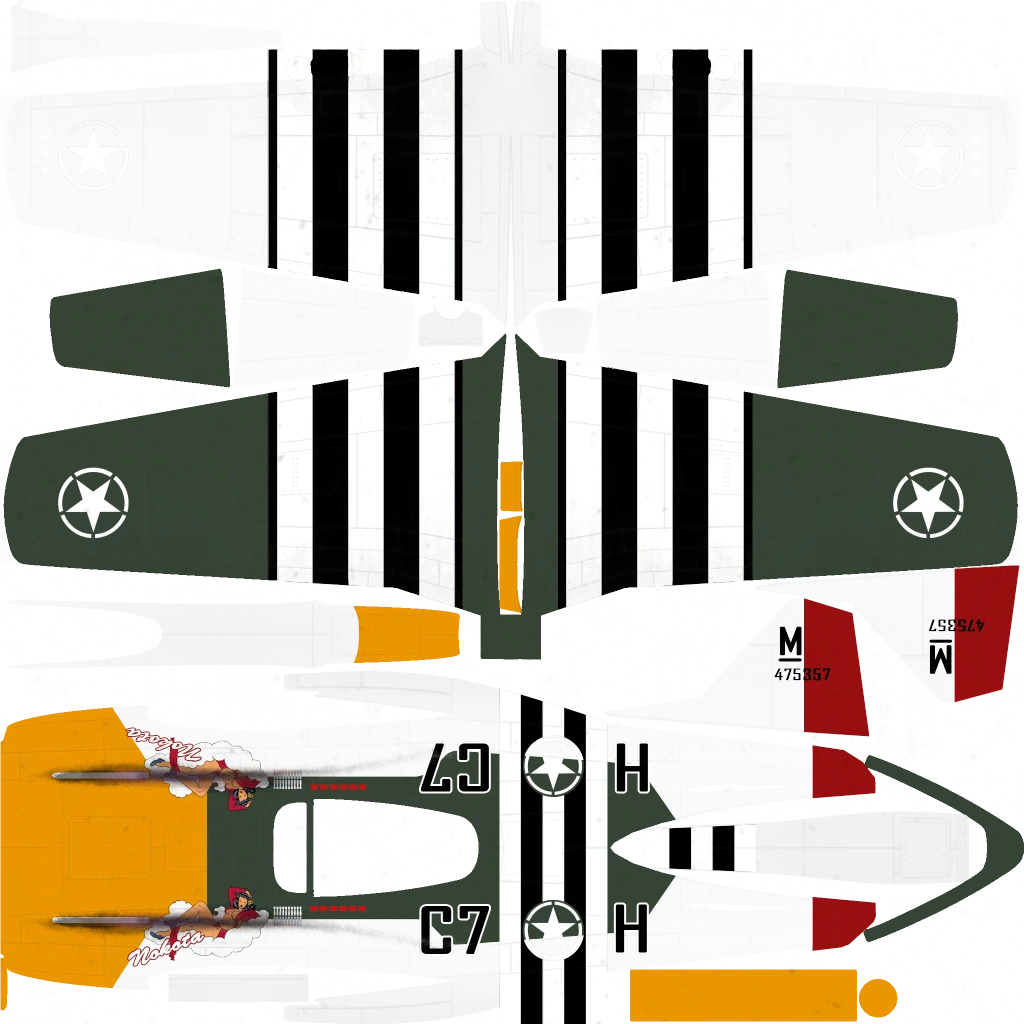 P-45 Nokota livery 8 template