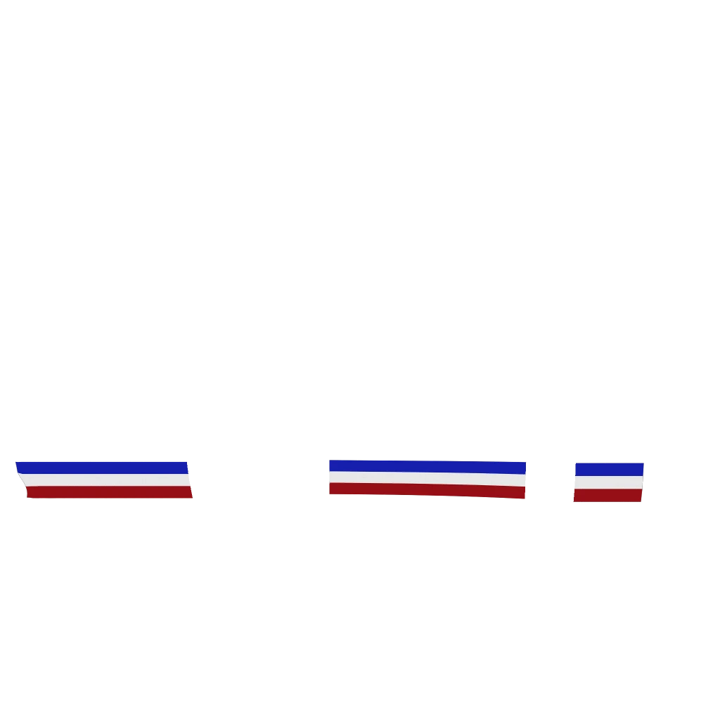 Toundra Panthere livery 4 template