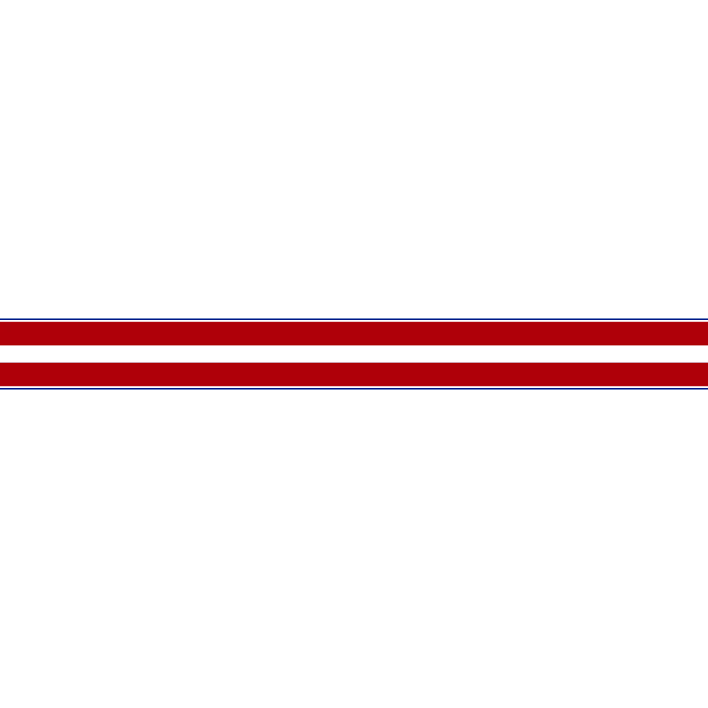 Ocelot Pariah livery 4 template