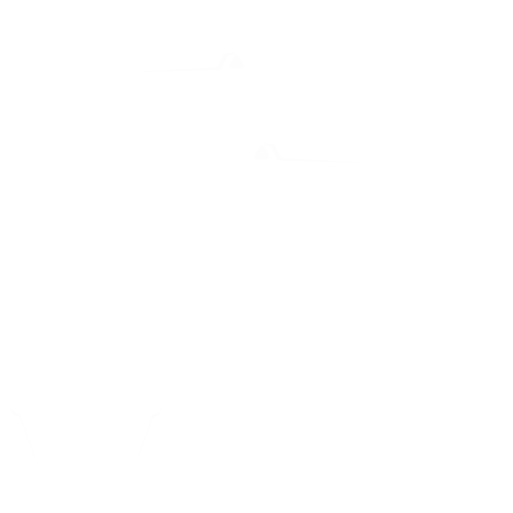 Overflod Pipistrello livery 3 template