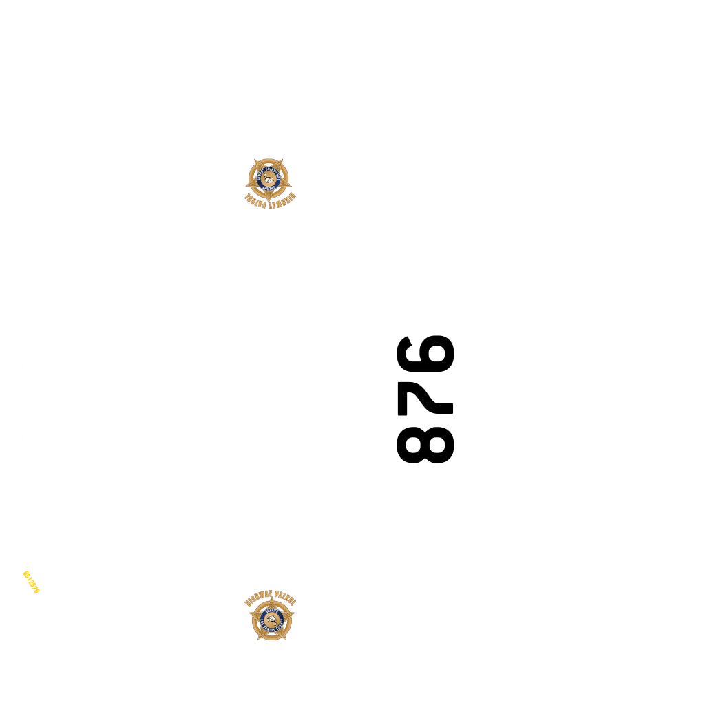 Bravado Dorado Cruiser livery 3 template