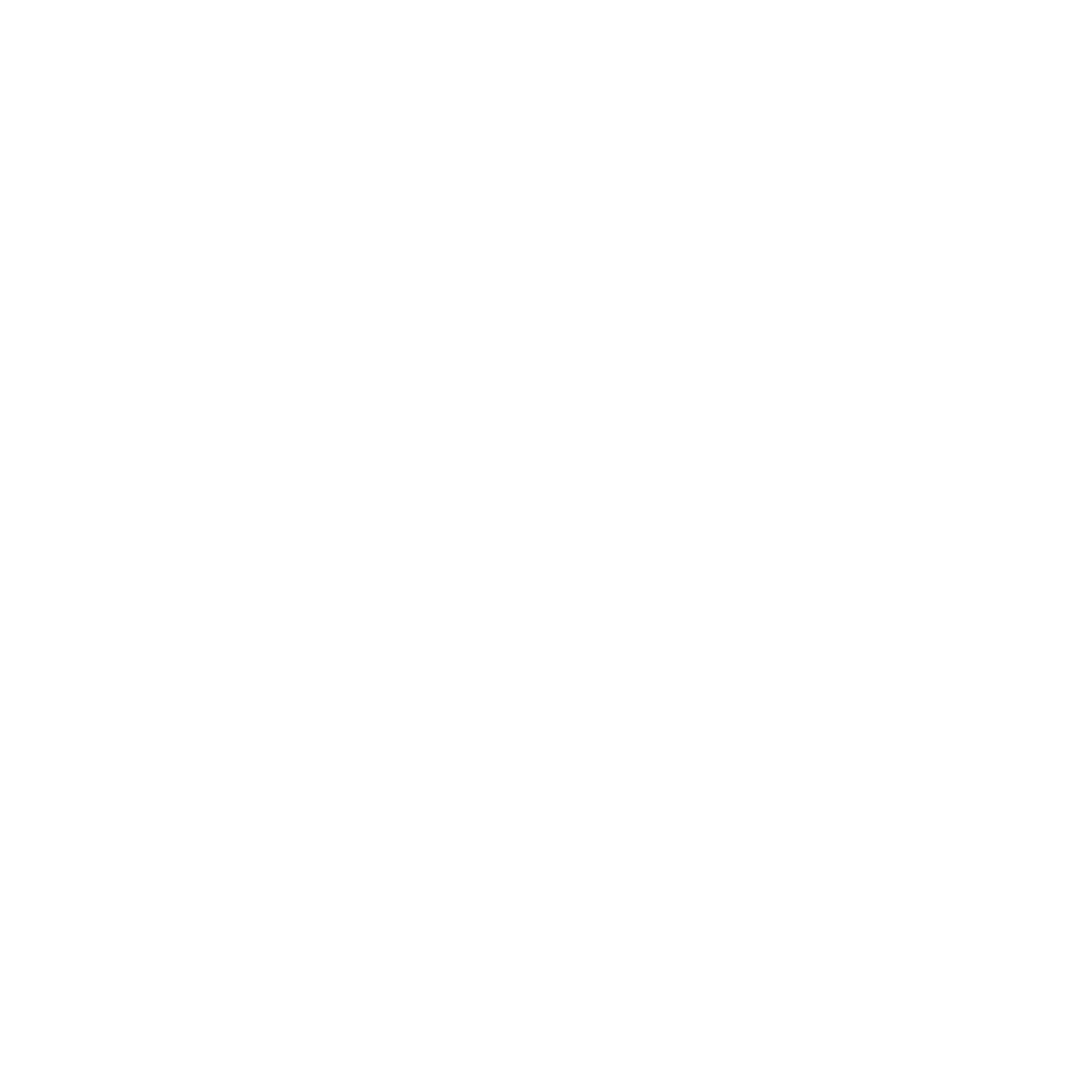 Western Reever livery 2 template