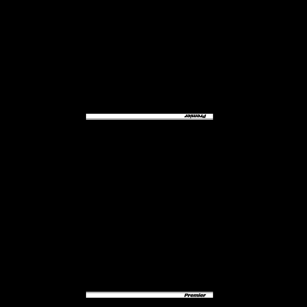 Annis Remus livery 3 template