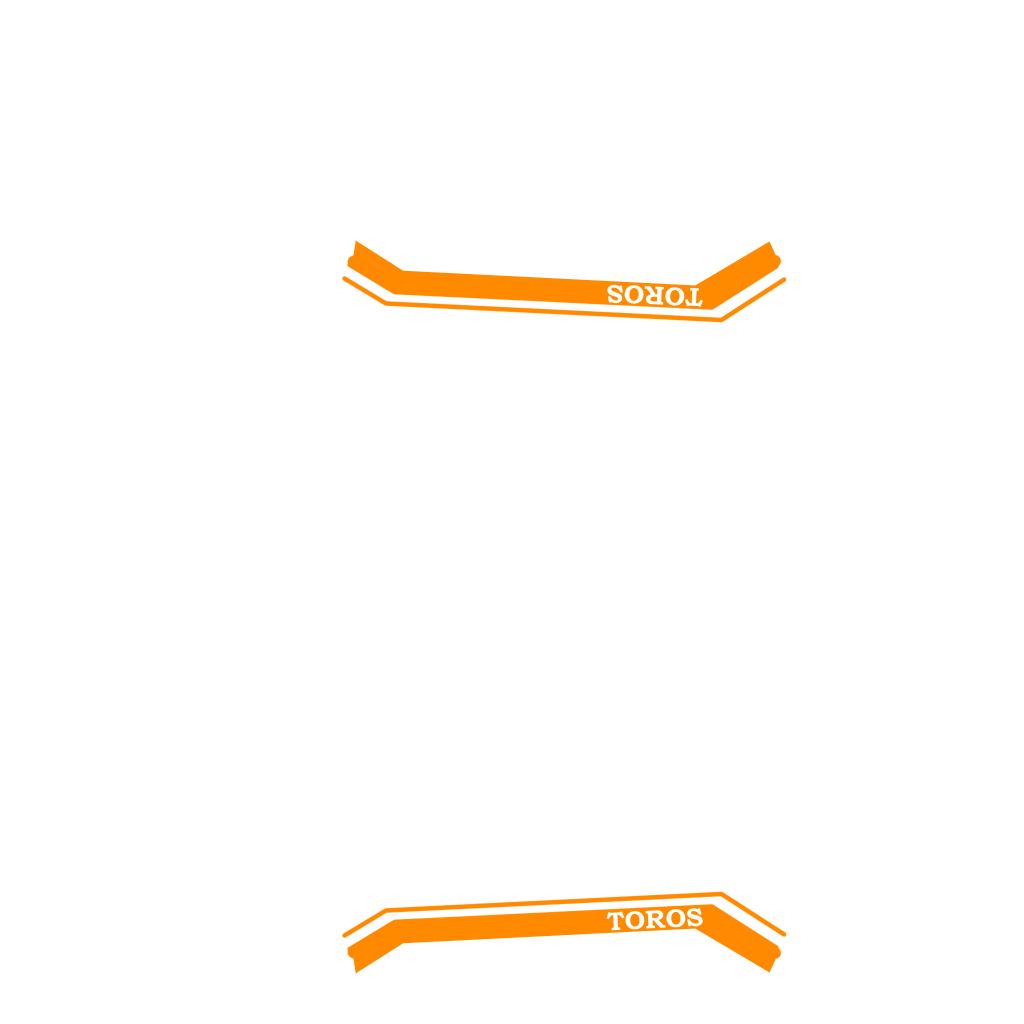 Pegassi Toros livery 2 template