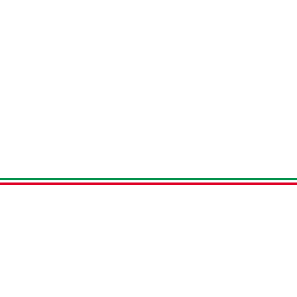 Pegassi Zorrusso livery 1 template